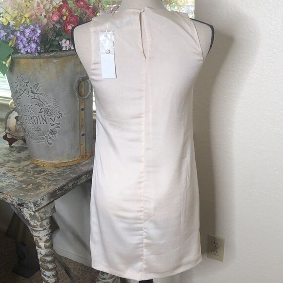 C. Luce Cream Sleeveless Sheath Dress - Picture 4 of 11